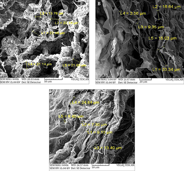 A, uncross-linked collagen; B, cross-linked collagen with EDC/NHS ratio of 2:1; C, cross-linked collagen with EDC/NHS ratio of 1:1, http://jammonline.com/en/articles/20846.html