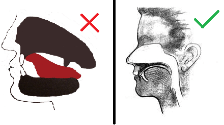 Tongue placement for Mewing, https://images.app.goo.gl/SFa9Ub5G5vLtHHJG9