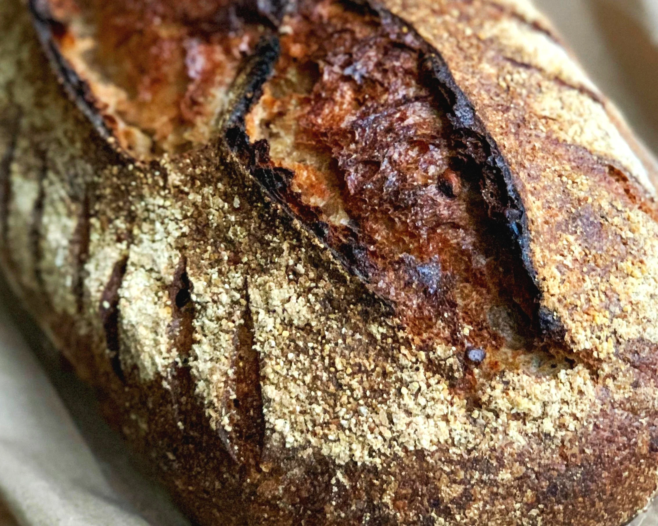 bread.jpg