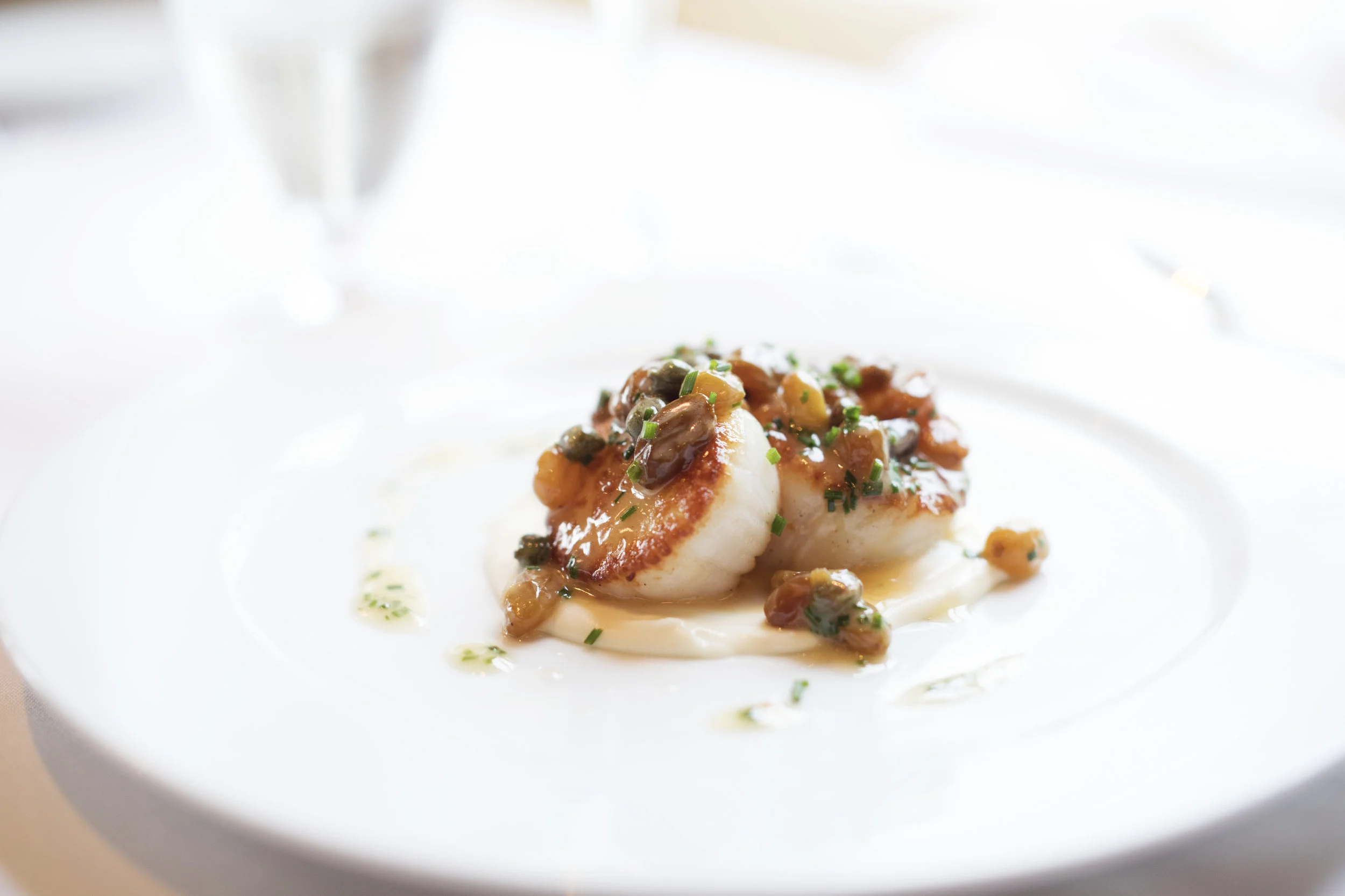 Scallop.jpg