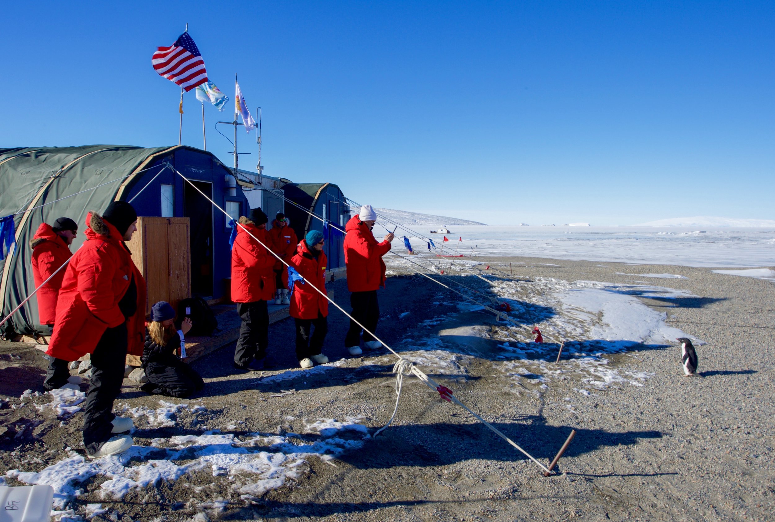 Secretary Kerry and his entourage wait for a penguin to approach them during their tour of Antarctica.