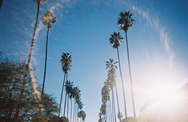 Los Angeles, CA (2019)