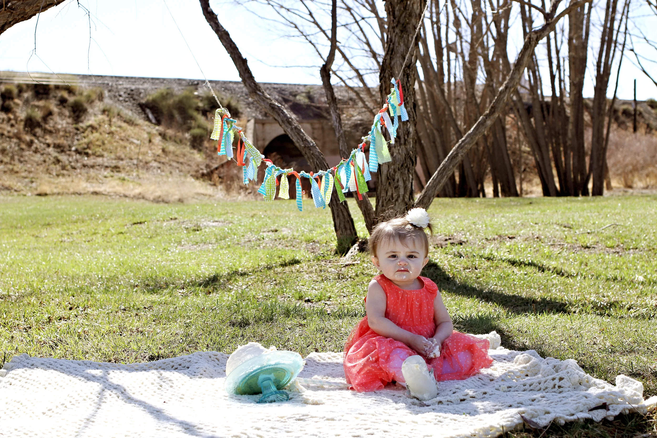 {Charlie Turns One} Cake Smash---Colorado Springs Baby/Children's Photographer