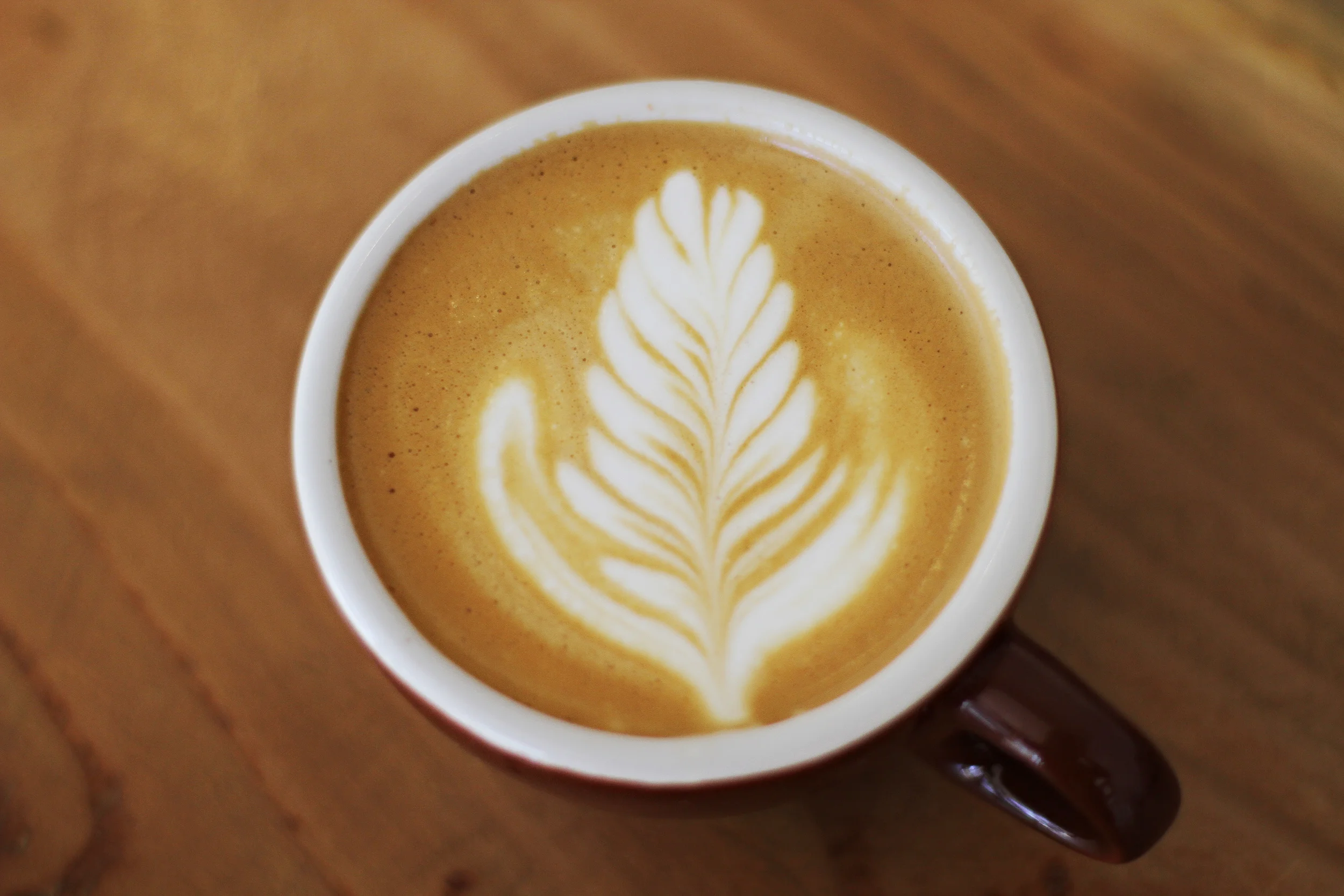 {Fifty-Fifty Coffee House}--Small Business Saturday--Colorado Springs Event Photographer