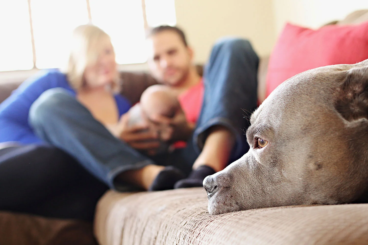 {Maverick} Colorado Springs Lifestyle Newborn Photographer