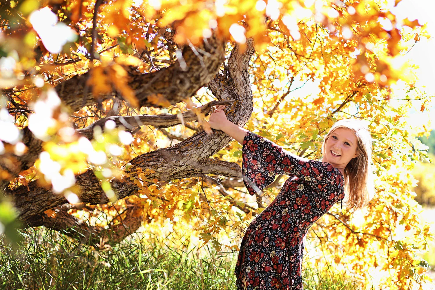 {Abigail: Palmer Ridge High School Senior} Colorado Springs Senior Photographer