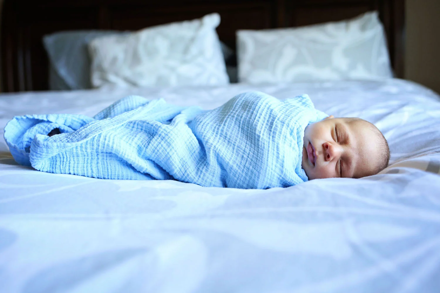 Lucas James 007.jpg