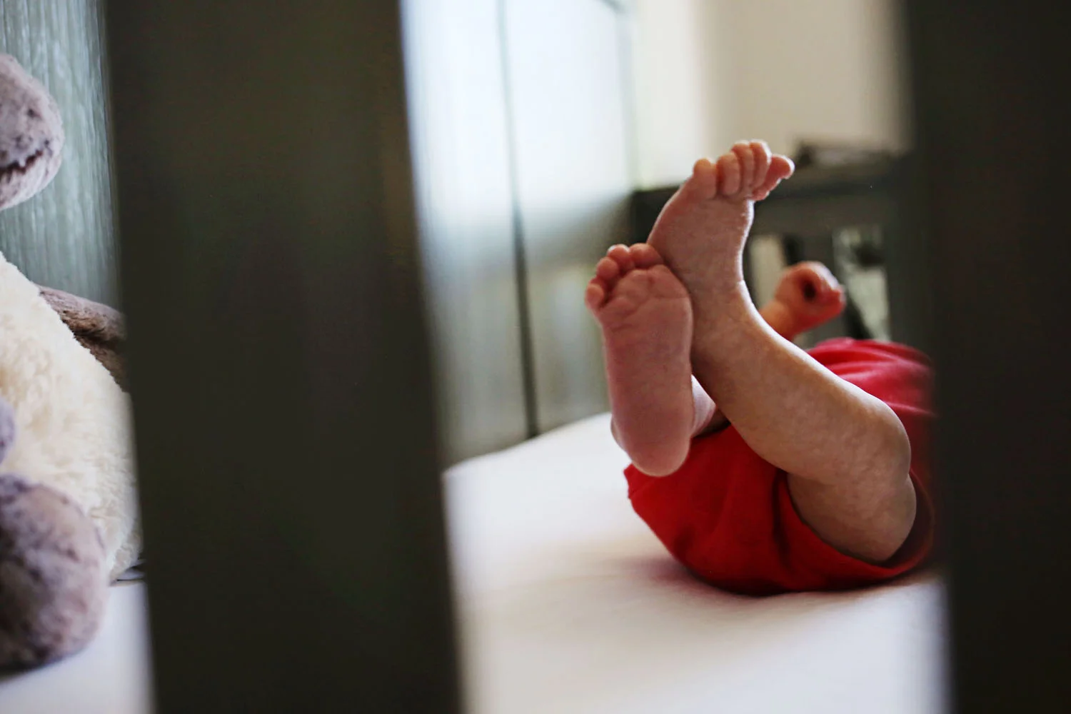 Lucas James 028.jpg
