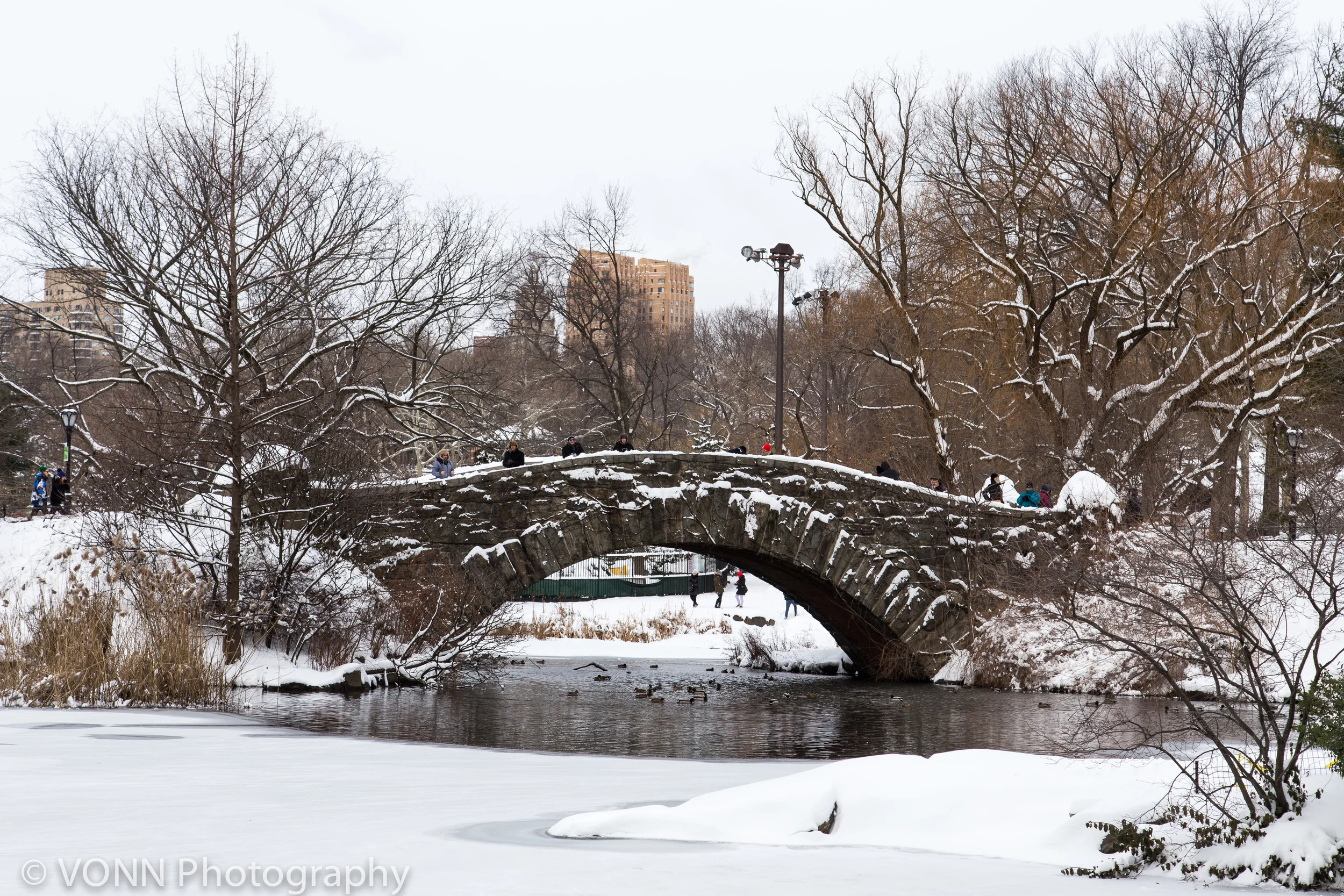 Storm Juno in Central Park - 2015