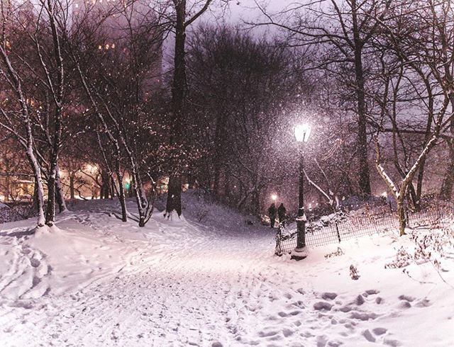 🌨 #nyc #centralpark #cityscape #snow