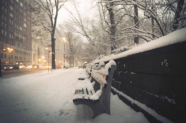 Back to the cold #NYC #centralpark #cityscape #newyorkcity #park
