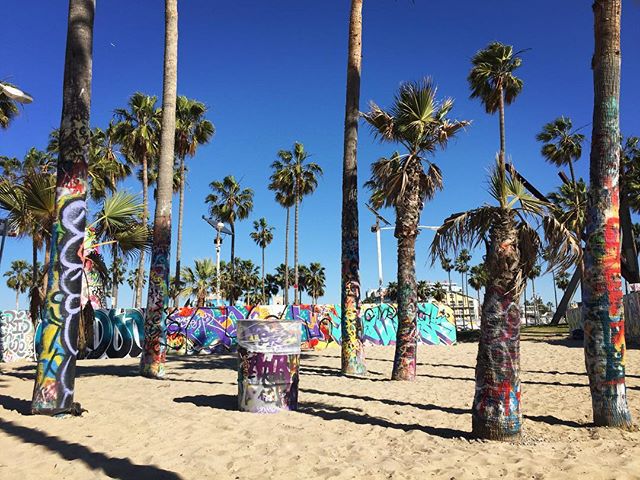 Palm trees and graffiti #losangeles #travel #city_explore #beach