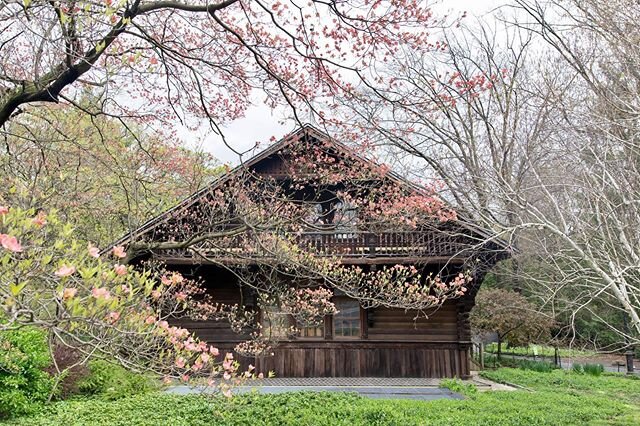 #nyc  #centralpark