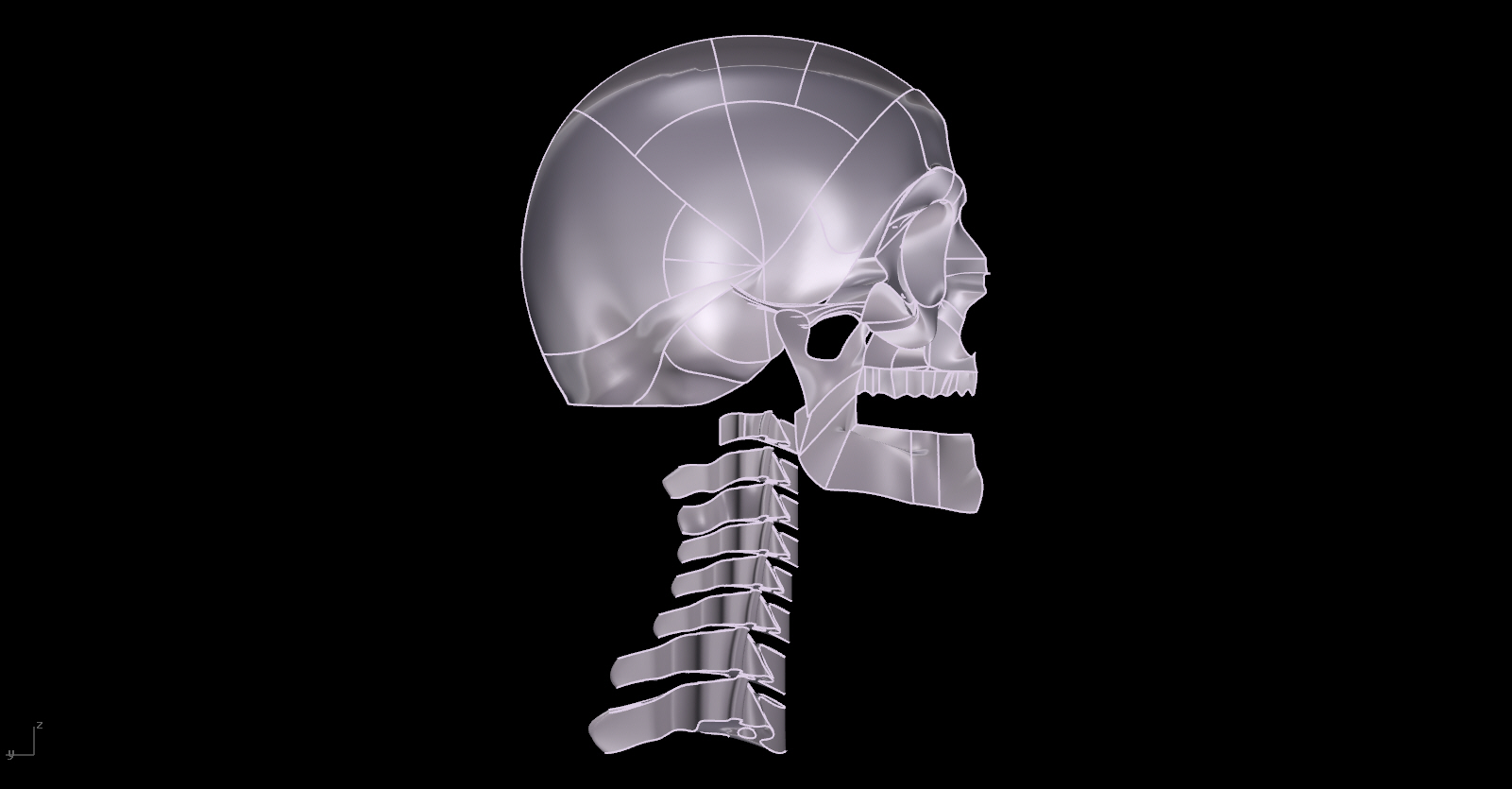 Skull_Side Shaded.jpg