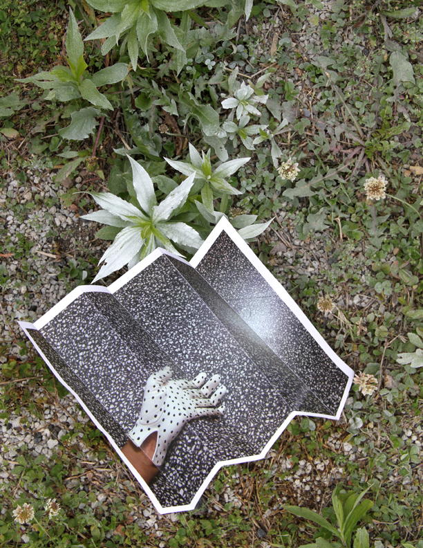 It's a Gentle Rage archival inkjet print 11in x 8.5in