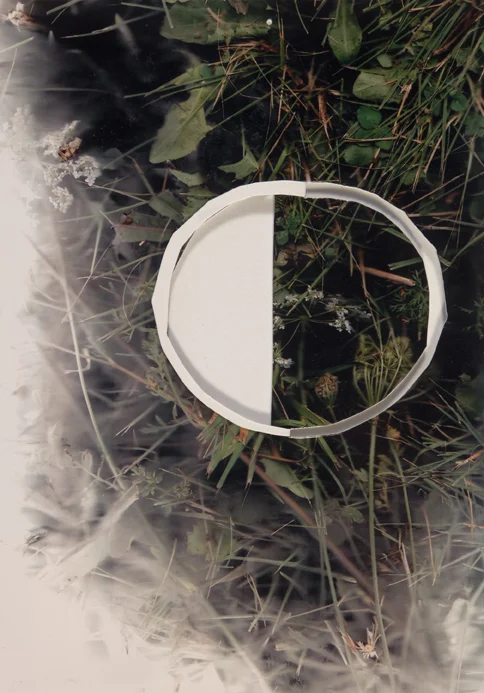 cut circle.jpg