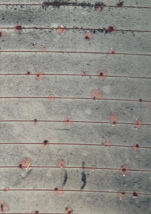 drips back window.jpg