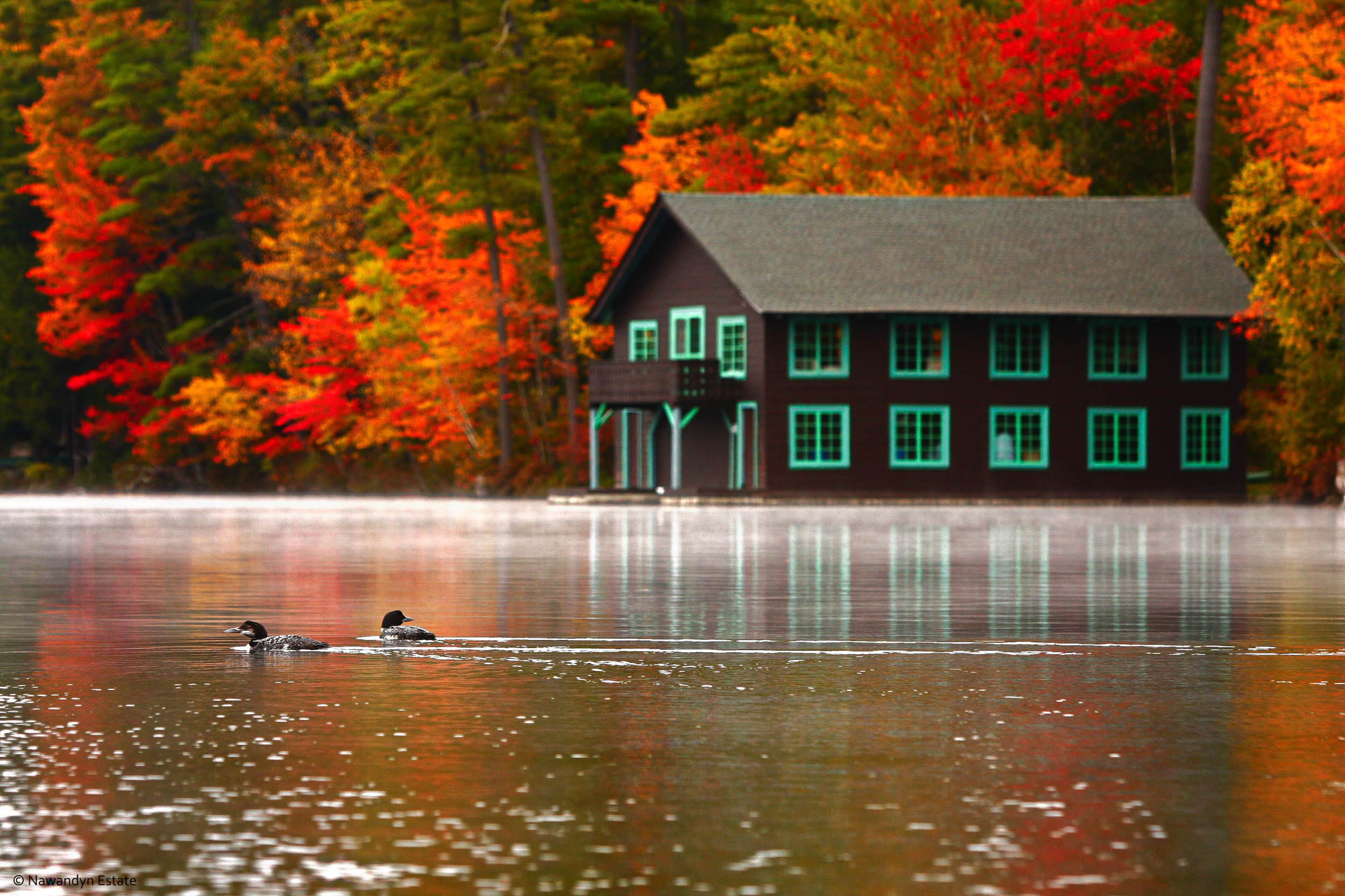 Vivid Fall Colors and Loons, a hallmark of Nawandyn Estate
