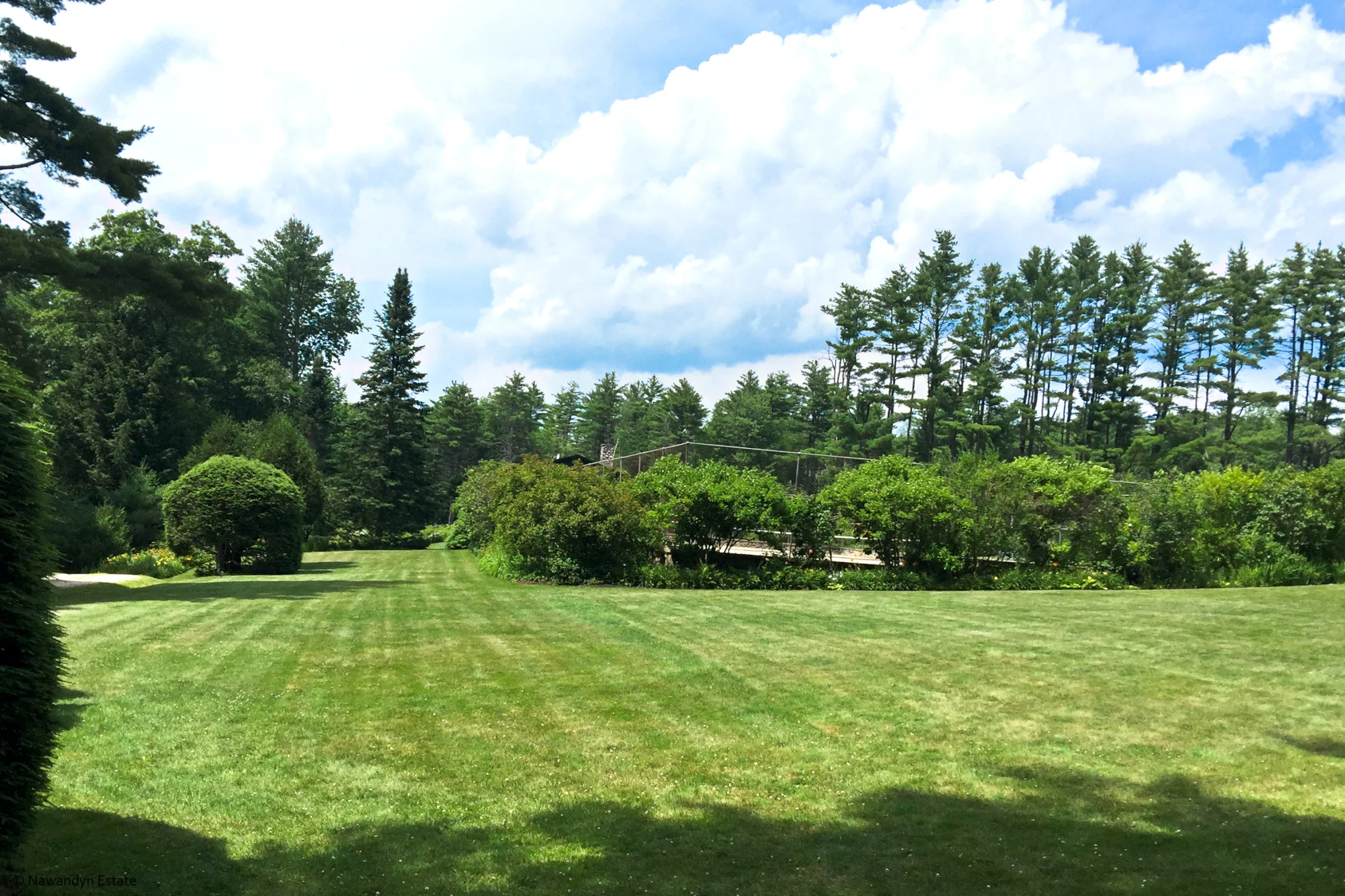 Part of Central Lawns