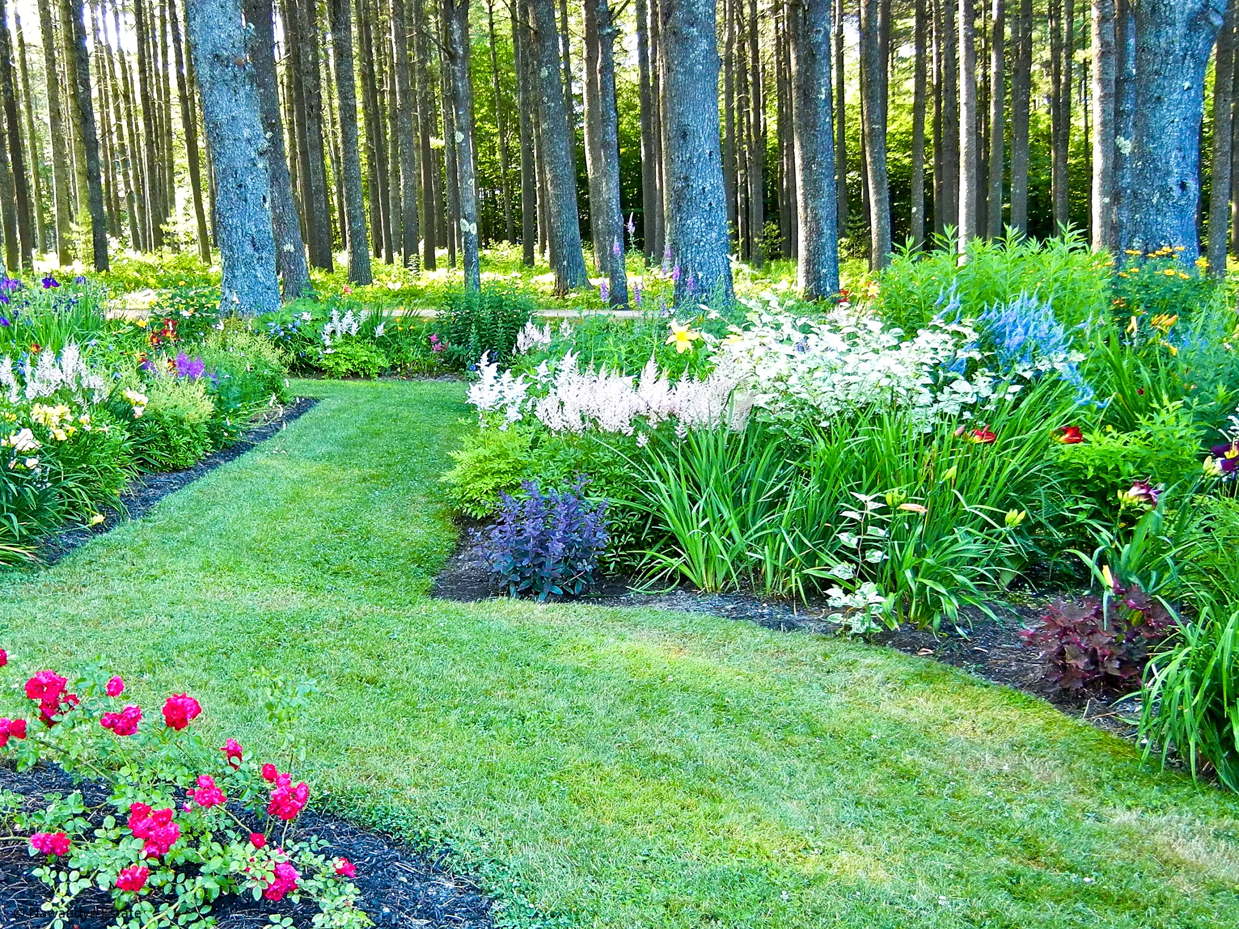 Part of Formal Garden