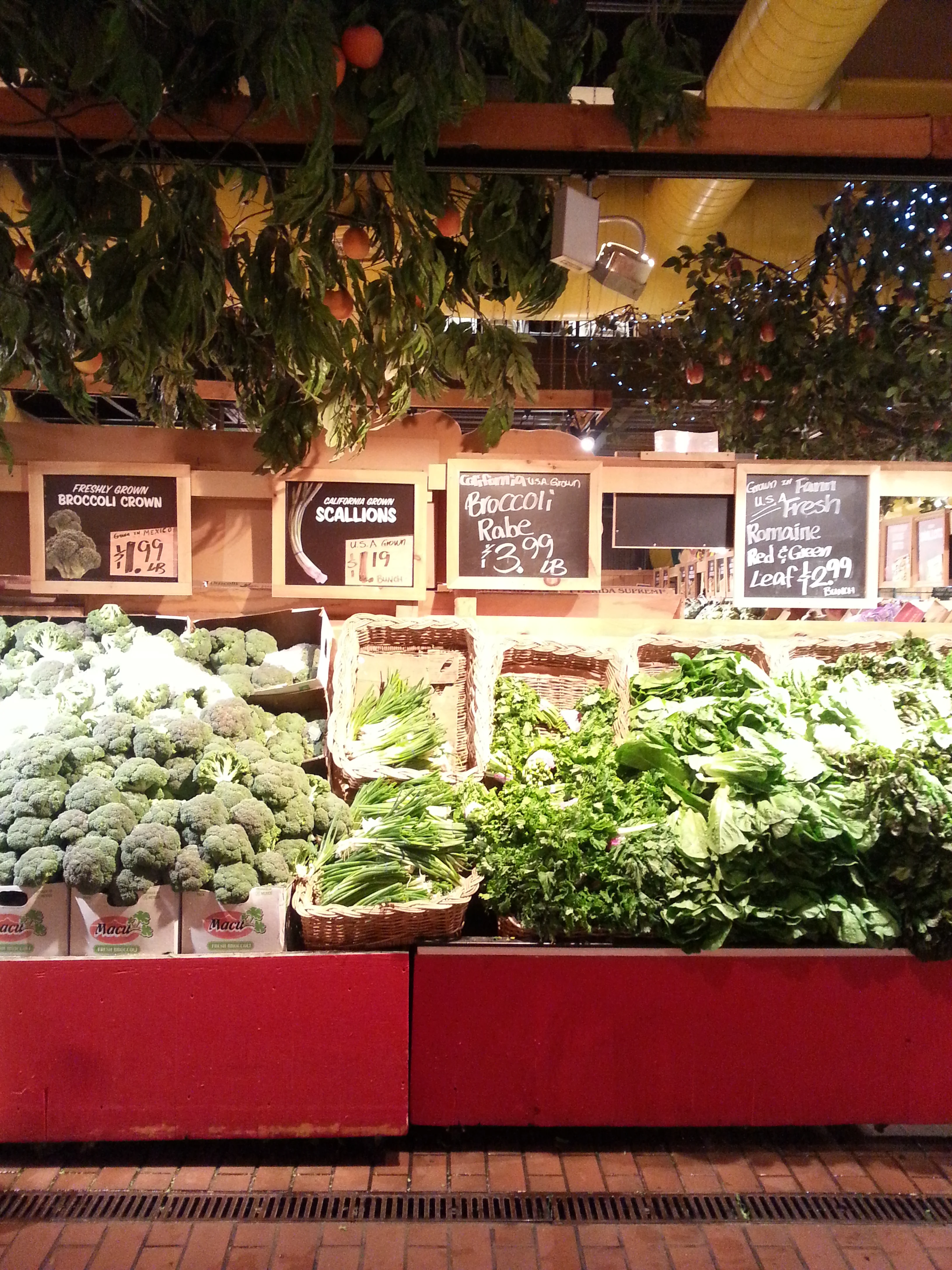 20150314_104742.jpg