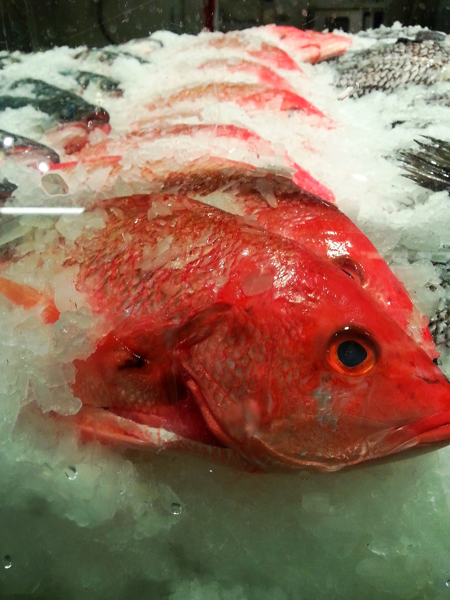 20150314_101340.jpg