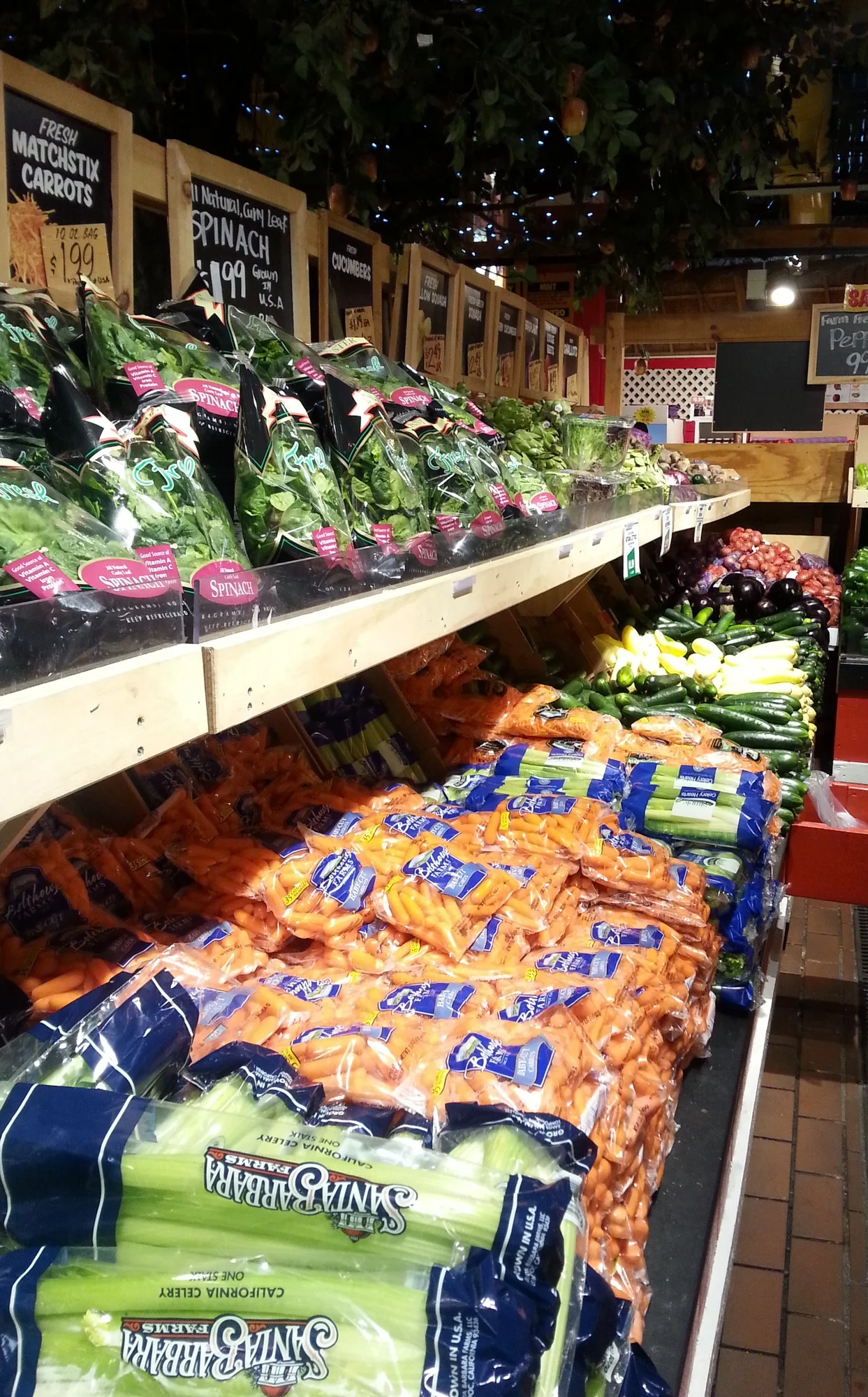 20150314_100633.jpg