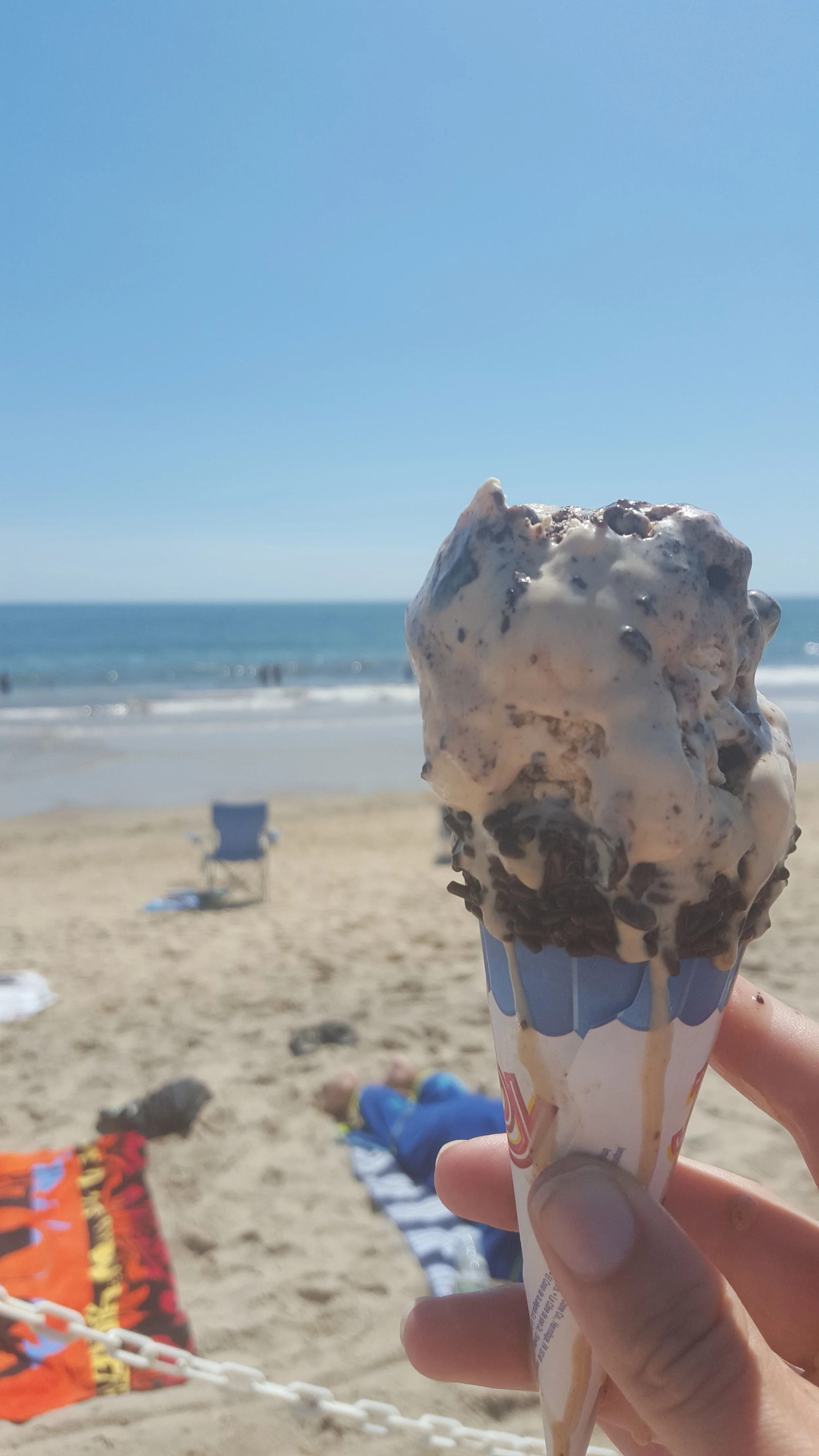 Vacation Recap