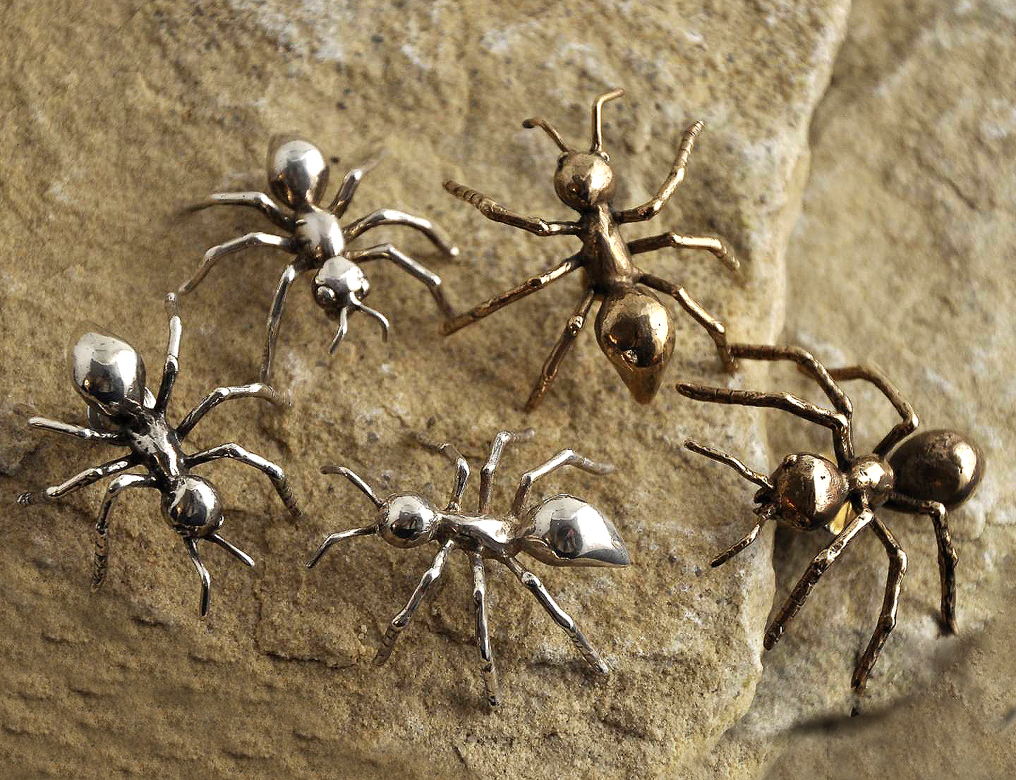 Ant Pin Collection