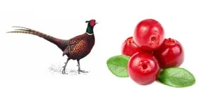 pheasant.jpg