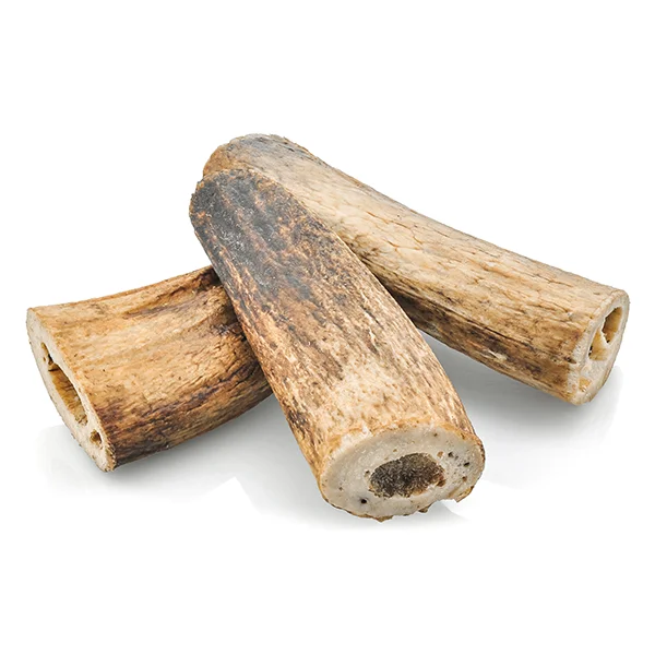 inner bull horn.jpg