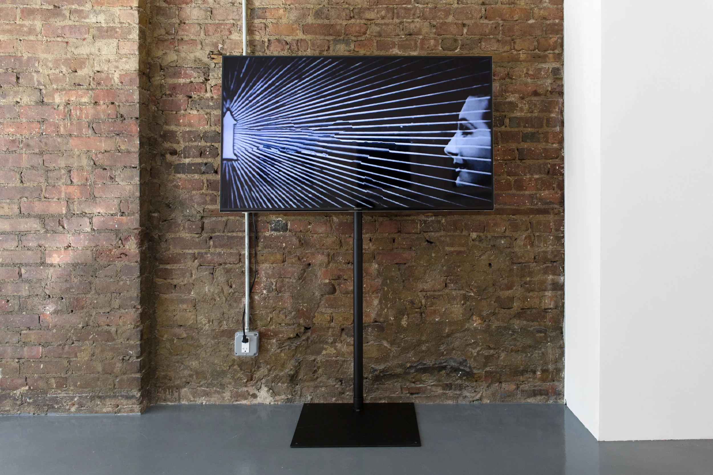 Installation View, The Structure and Function of hidden Things, 2018