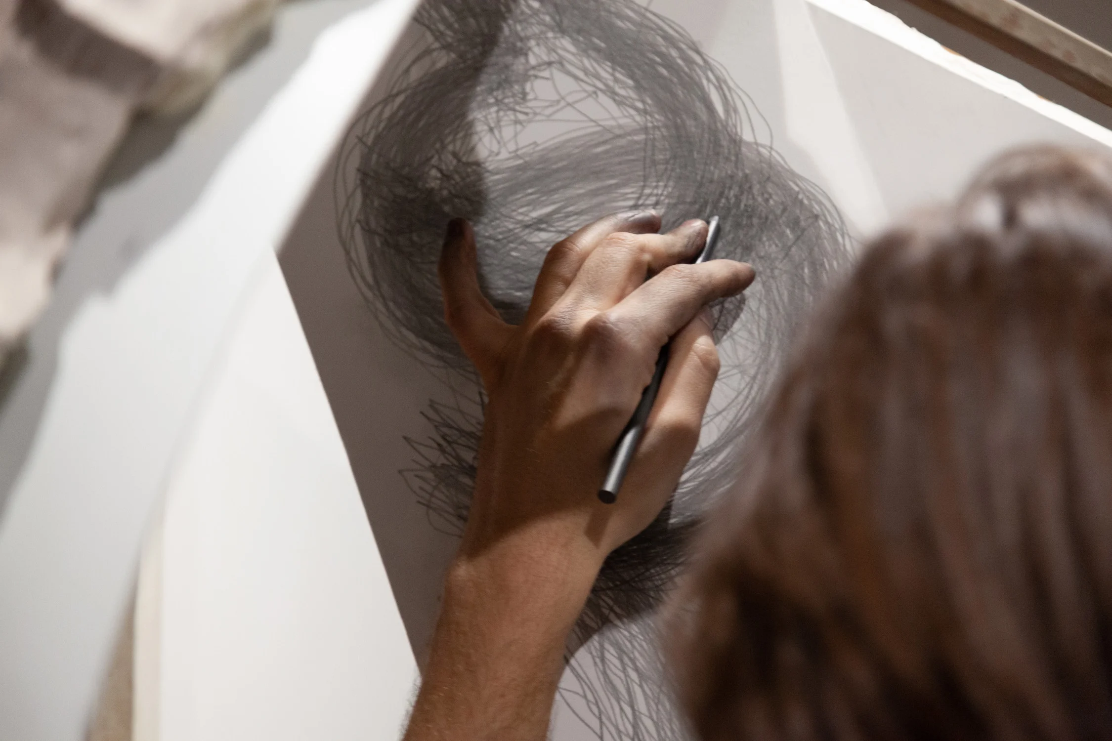 Tony Orrico, Supporting a continued gesture towards expanding sanctuary , performance at signs and symbols, January 2, 2019