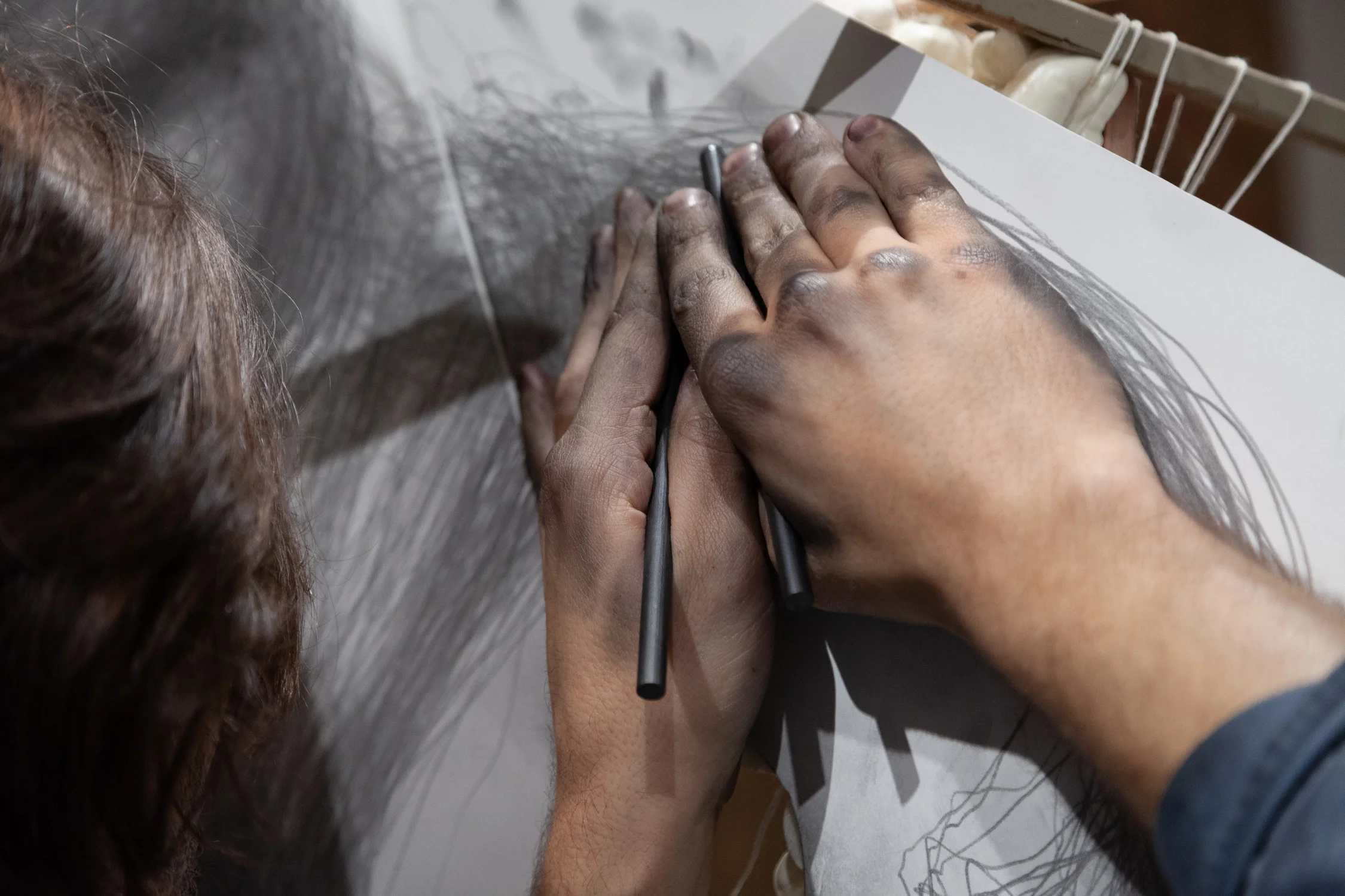 Tony Orrico, Supporting a continued gesture towards expanding sanctuary , performance at signs and symbols, January 2, 2019