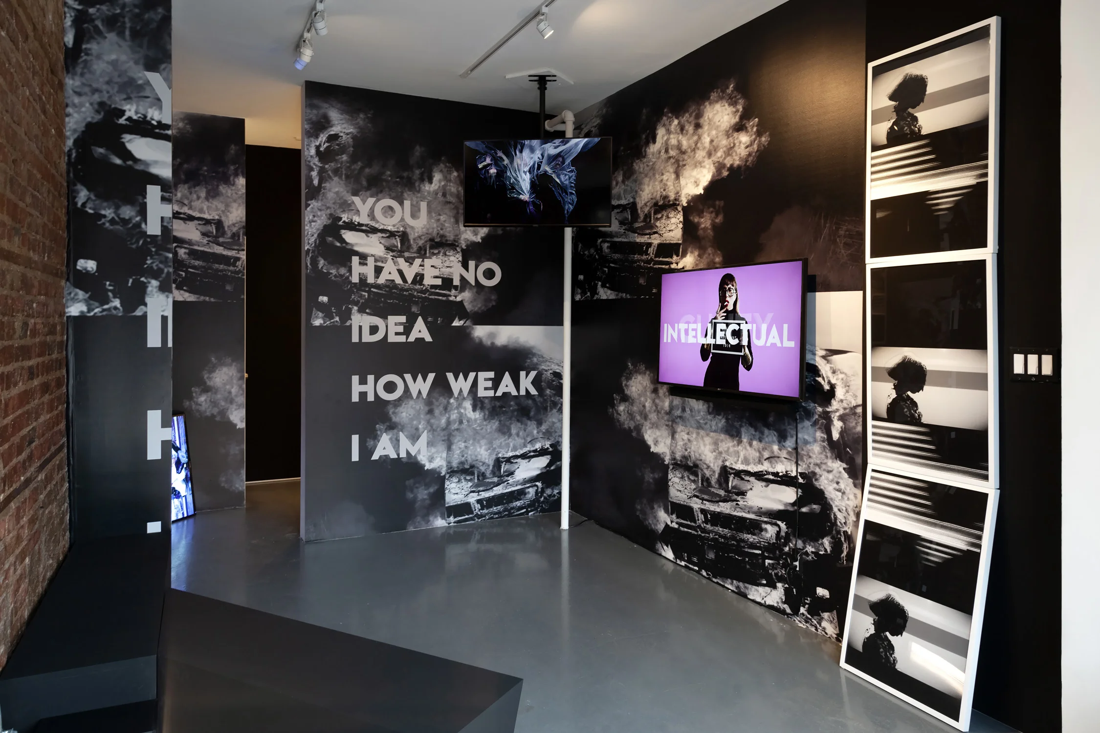 Michelle Handelman, LOVER HATER CUNTY INTELLECTUAL, Exhibition View, 4.18.19 - 5.26.19