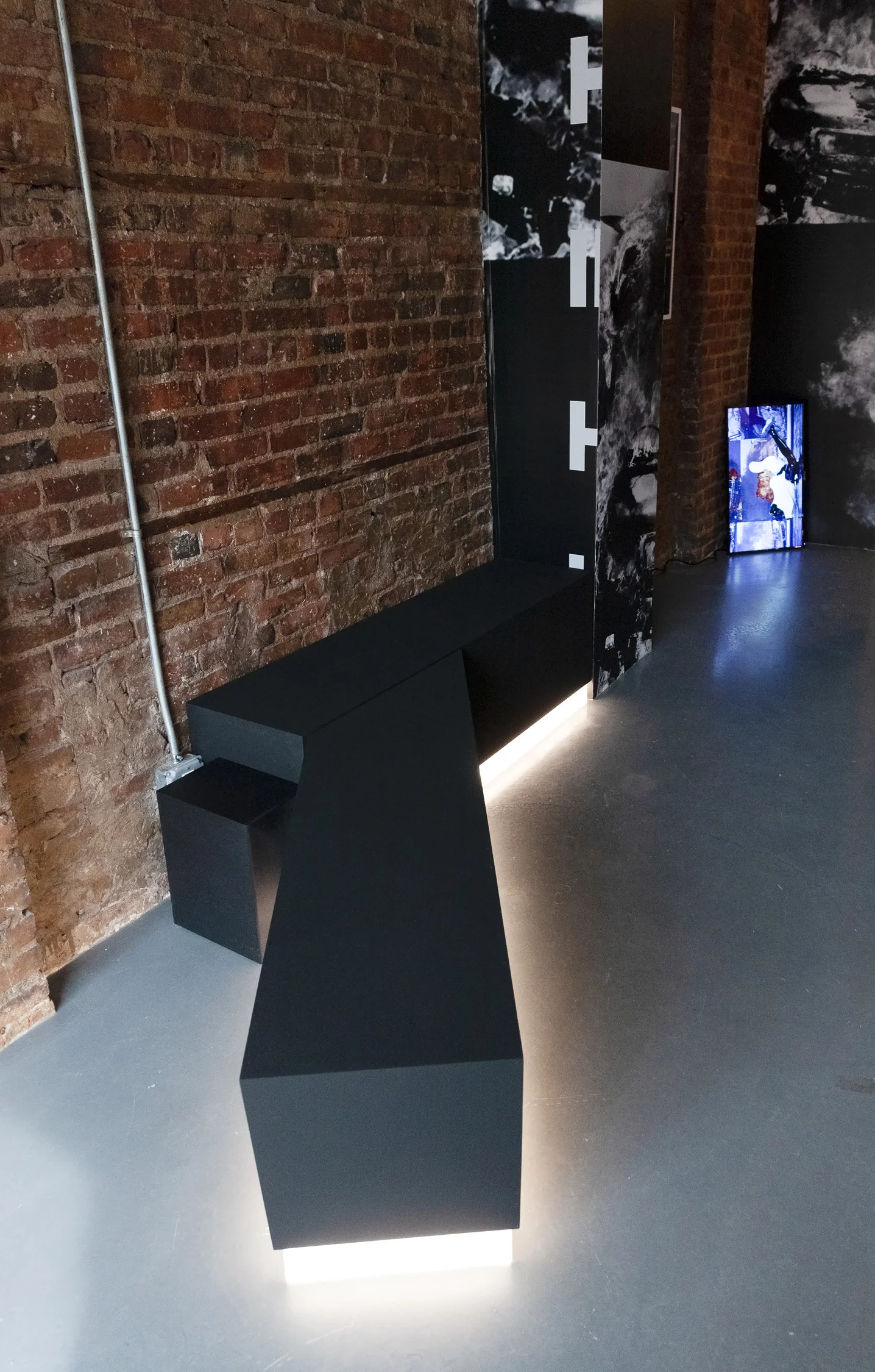 Michelle Handelman, LOVER HATER CUNTY INTELLECTUAL, Exhibition View, 4.18.19 - 5.26.19