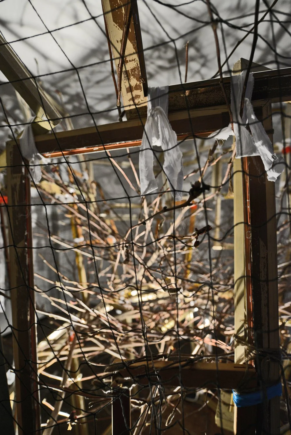 Shaqayeq Arabi,  Study of an Upturned Ziggurat  (exhibition view), 2015