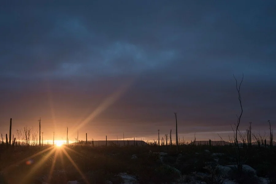 Desert sunrise via The Perfect Hideaway