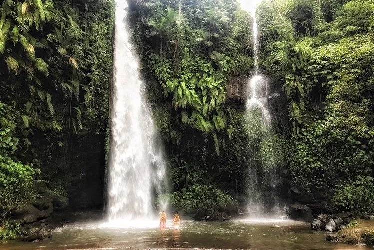 Friday November 1st 8:00am – Fruit, Coffee/Tea 8:30am – Vinyasa Yoga Class 10:15am - Breakfast 11:30am - Waterfall hike* FREE TIME 7:00pm – Dinner 8:30pm – Yin Yoga