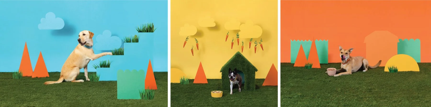 A Pup Above - Dog Food