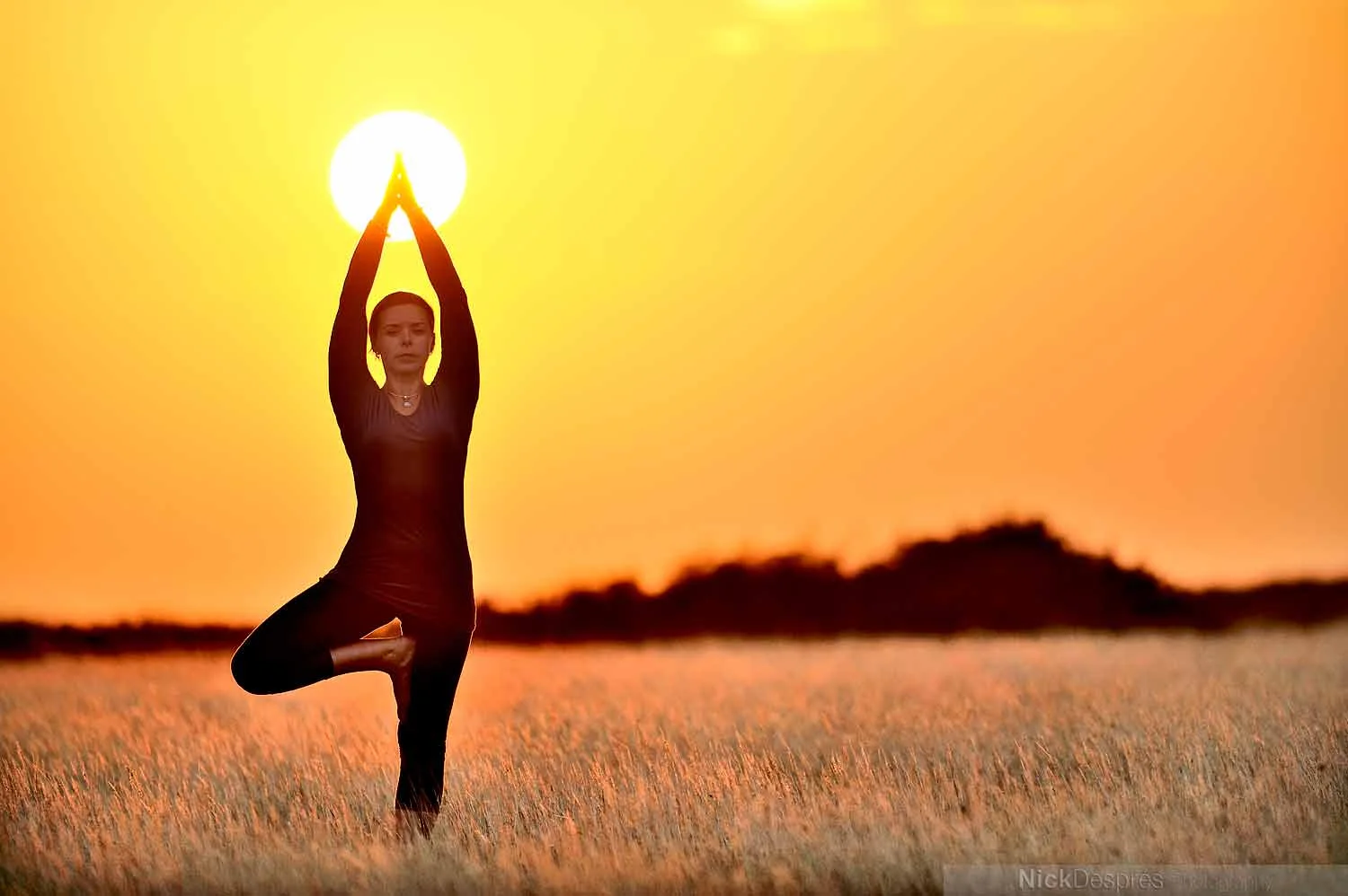 Yoga-164.jpg