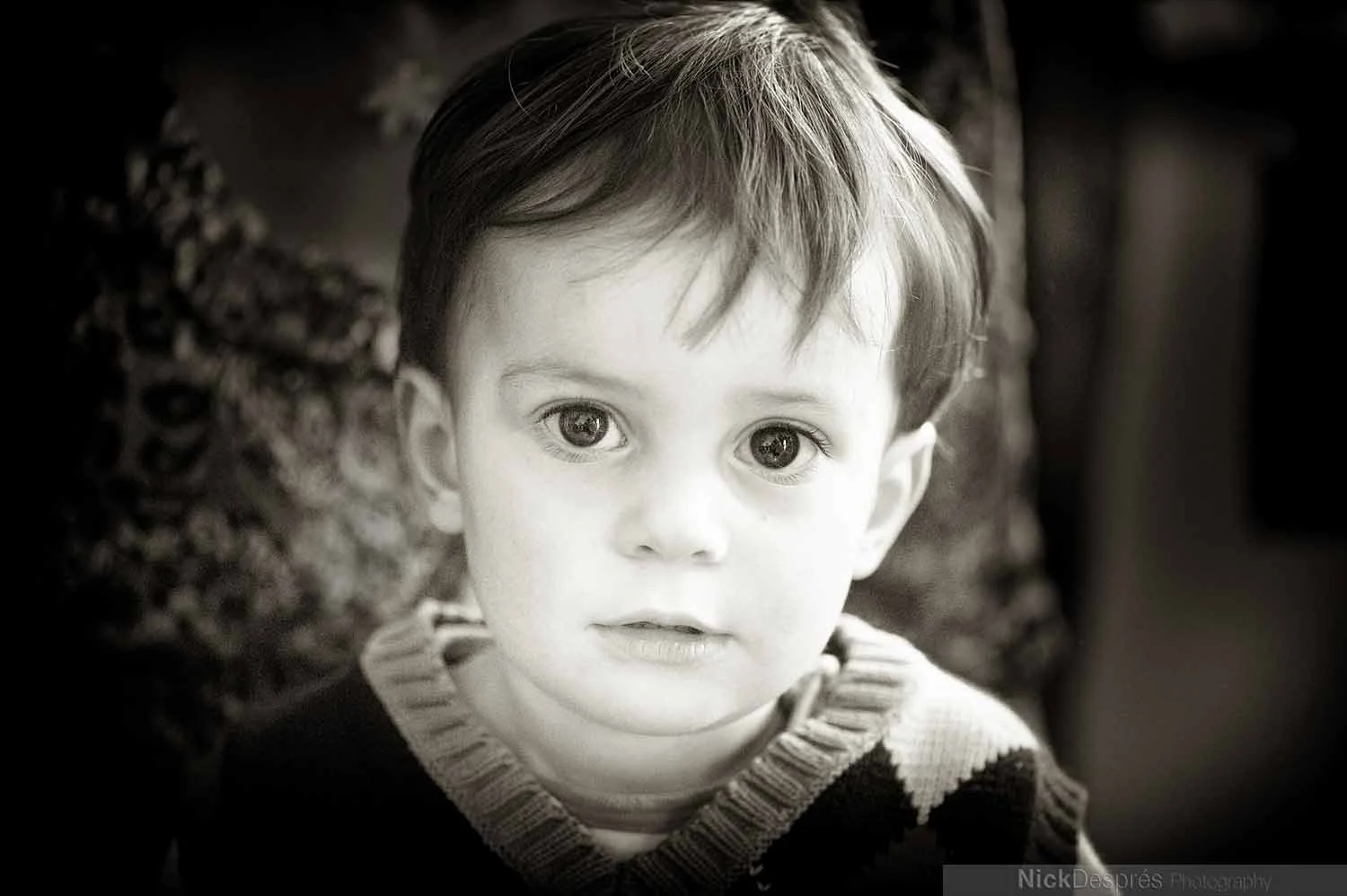Nick-Despres-Family-Portrait-Photography-Guernsey-068.jpg