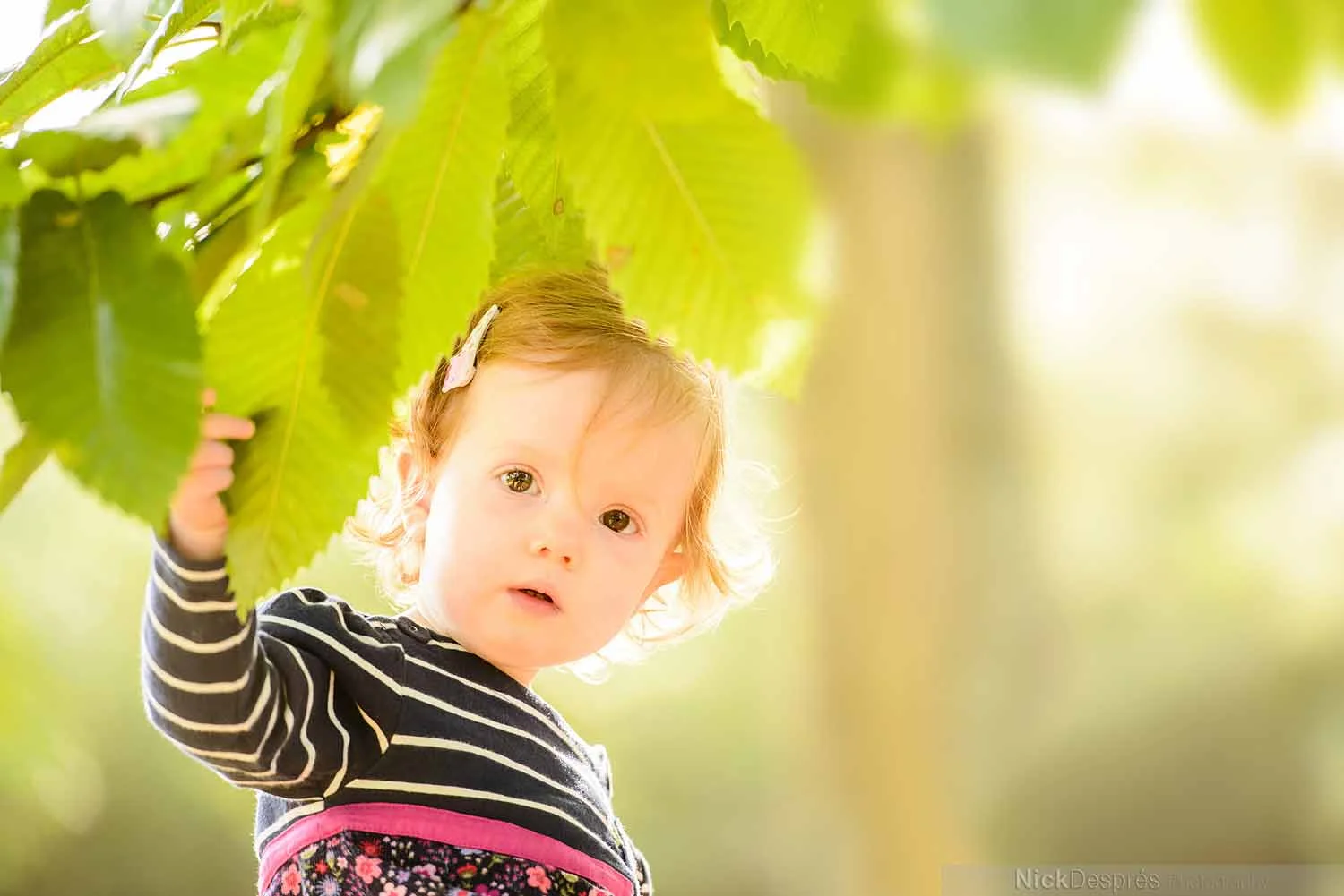 Nick-Despres-Family-Portrait-Photography-Guernsey-035.jpg