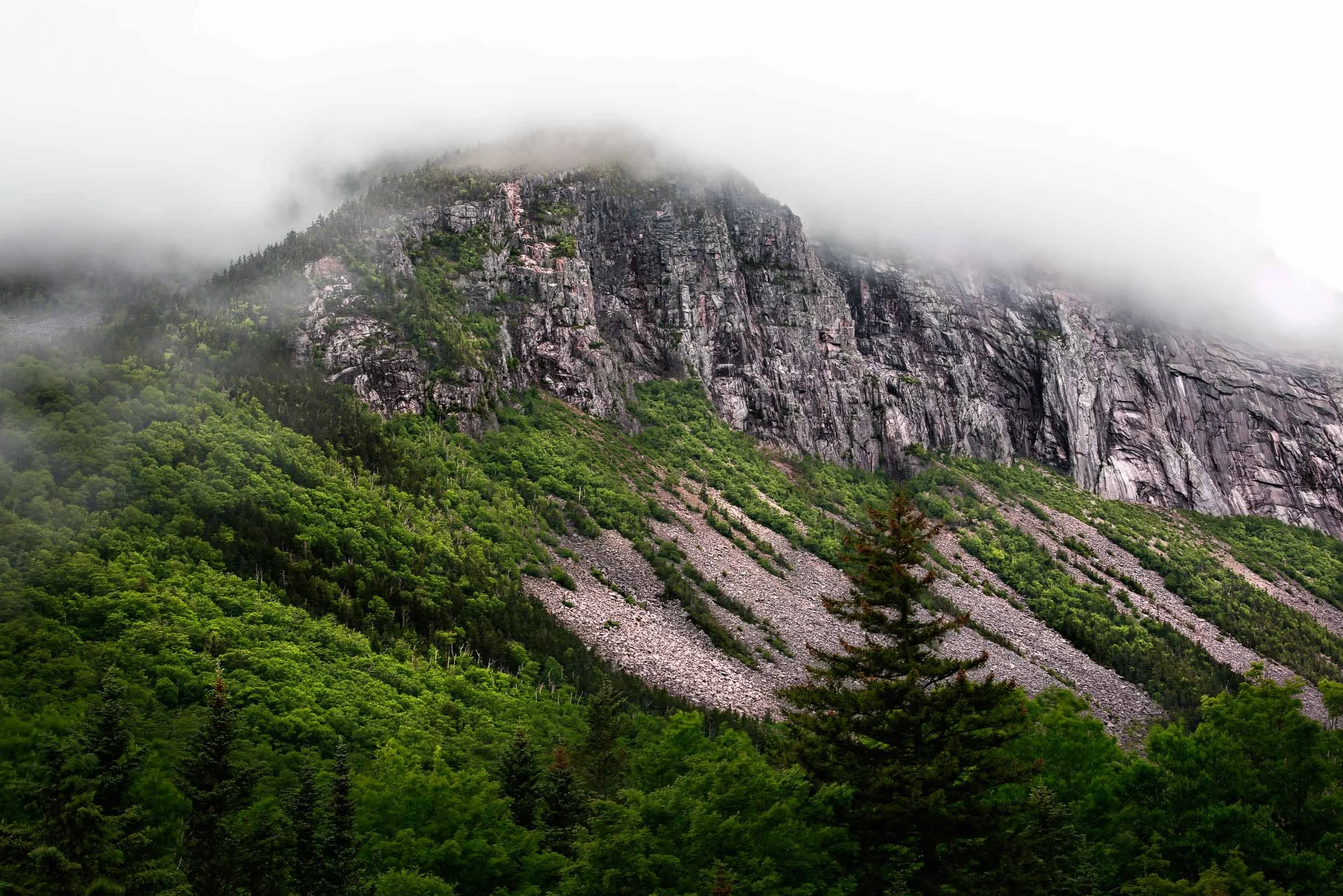 20180614-Falling Waters - NH-31167-Edit.jpg