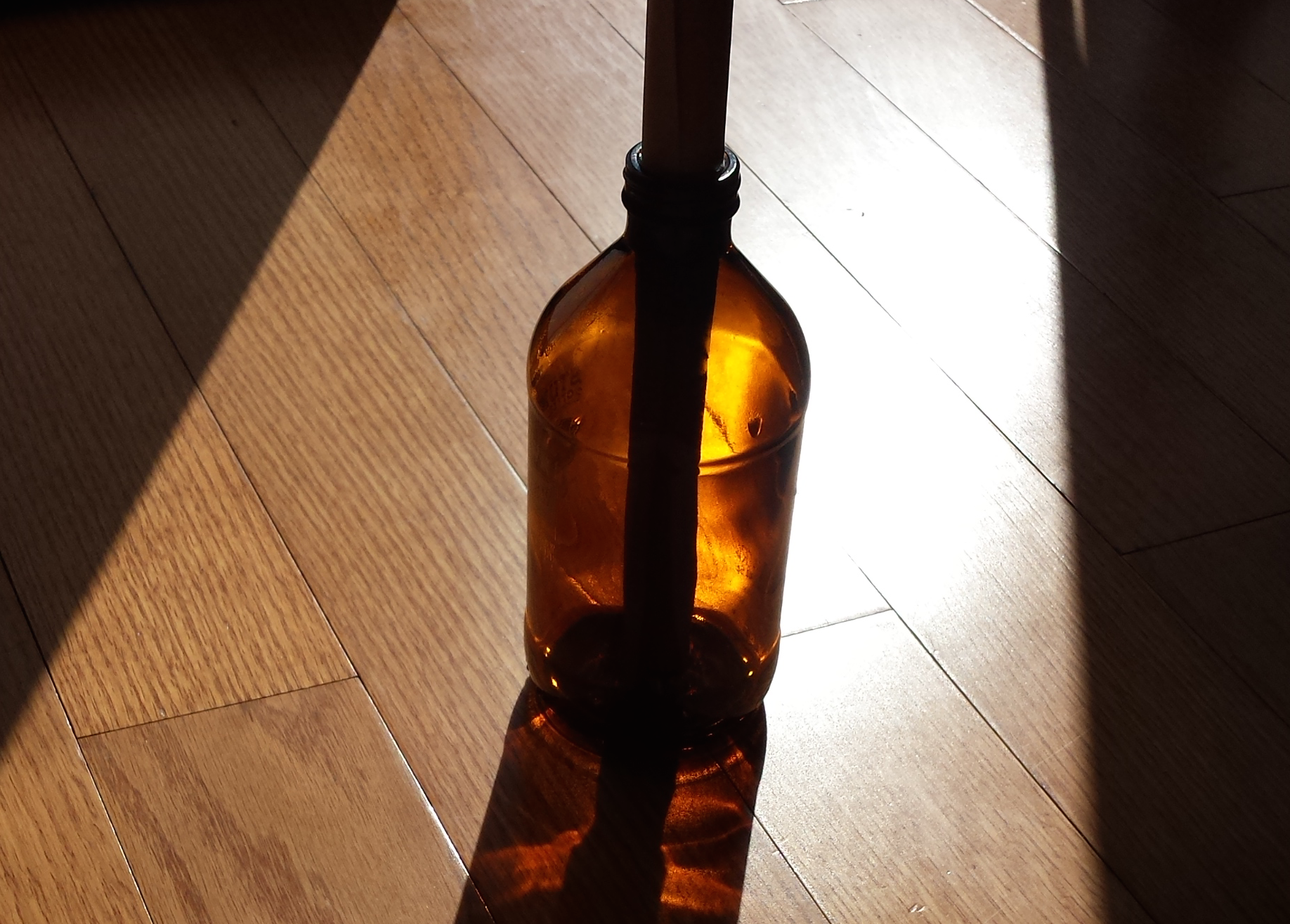 Message in a Bottle 2.png