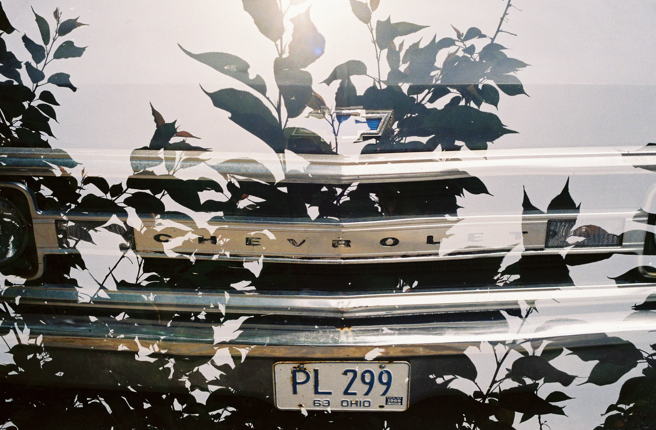Chevy / Tree double exposure | Lomo film