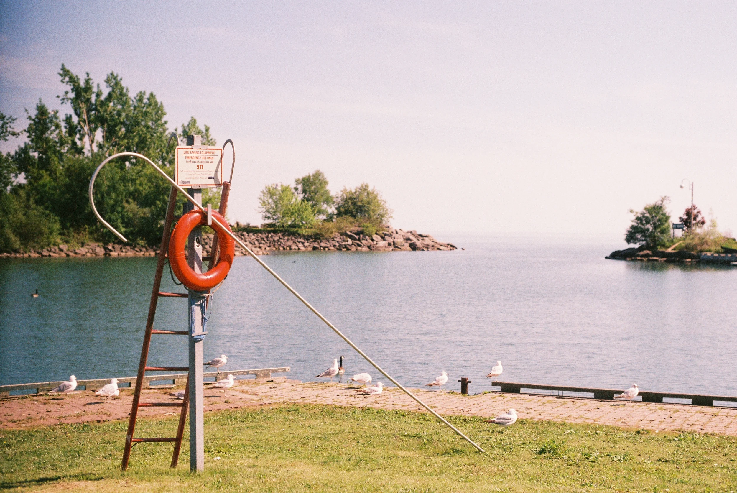Lake Ontario | Konica Centuria (expired)