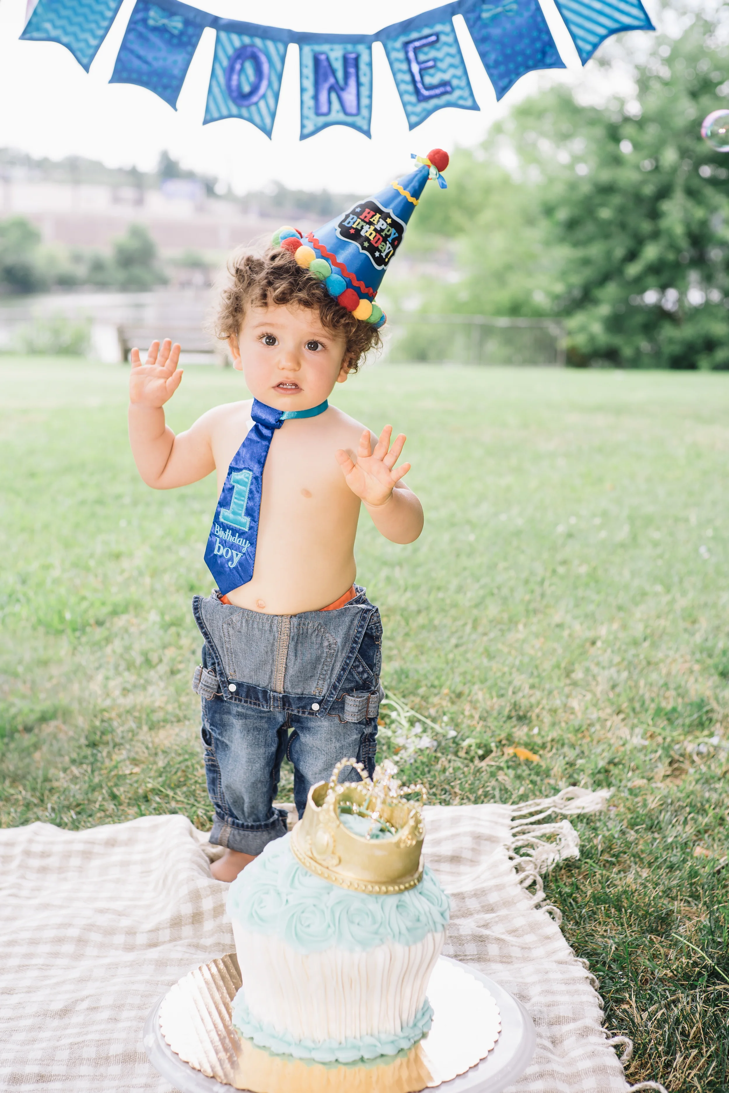 Alex's First Birthday