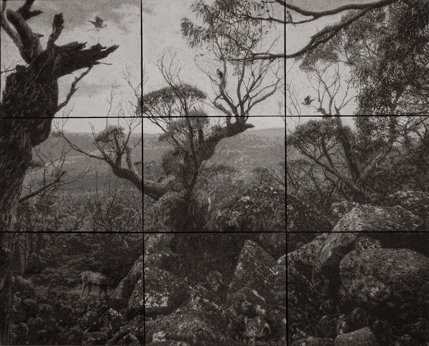 Untitled (Snowgums, Mount Field) - ash and polymer on 9 canvases 183cm X 240cm (2016)