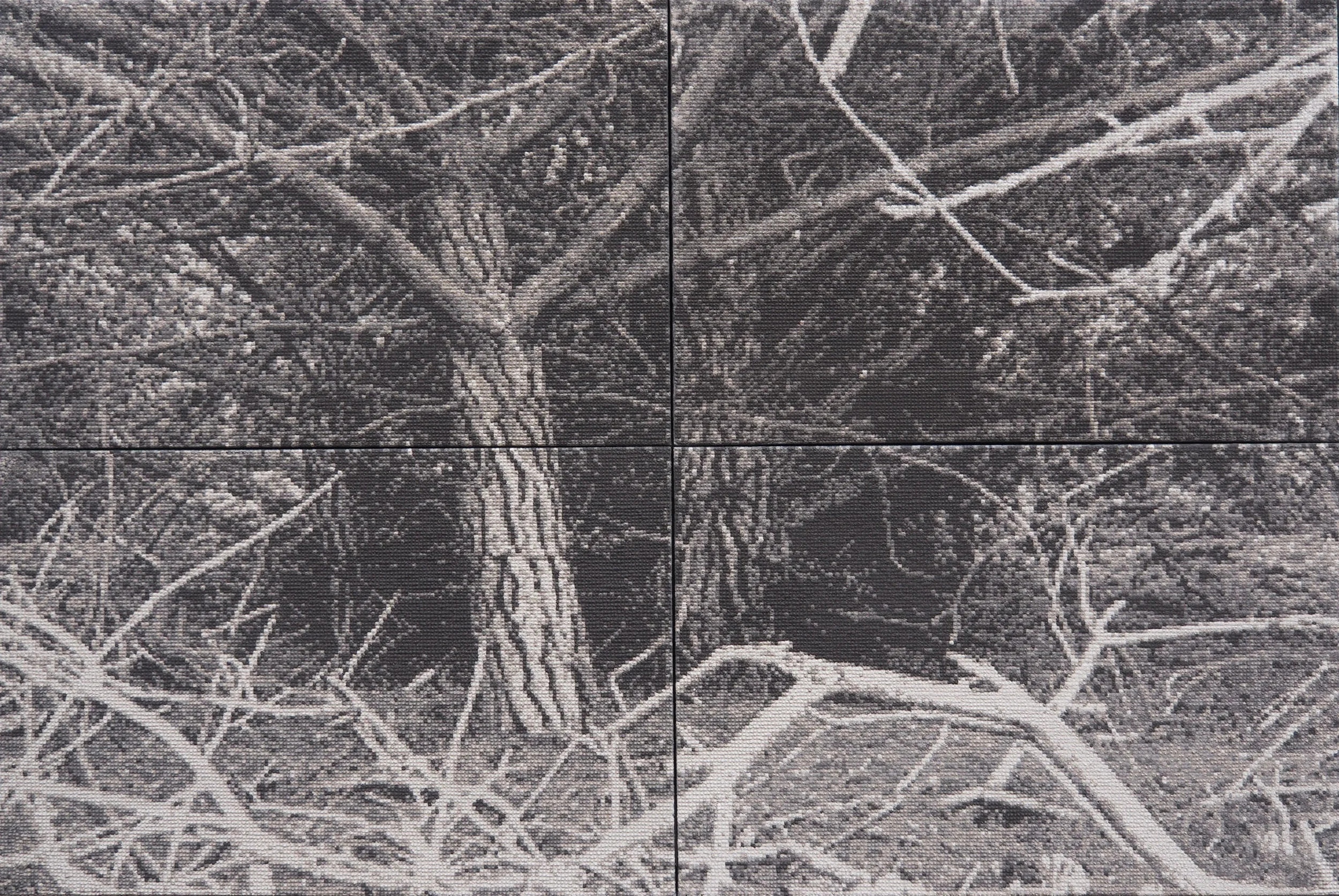 Ghosts of Change - Pinus Radiata - ash and polymer on 4 canvases 122cm x 182cm